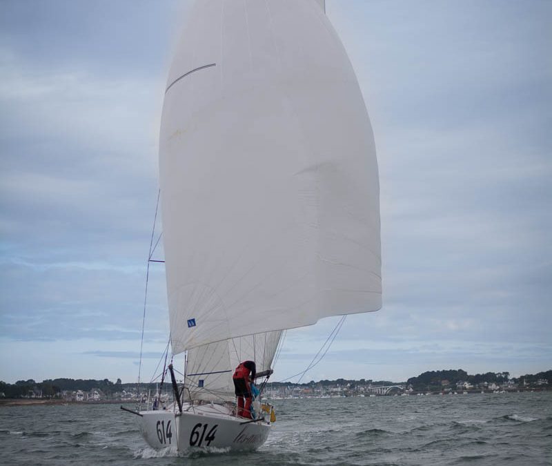 Bilan de la Mini Fastnet 2017